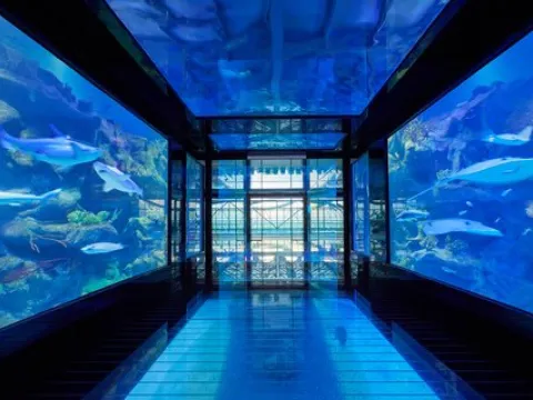 Paragraph Resort & Spa Shekvetili, Autograph Collection