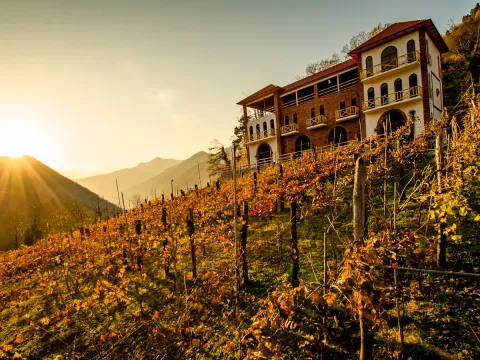 Hotel Chateau Iveri