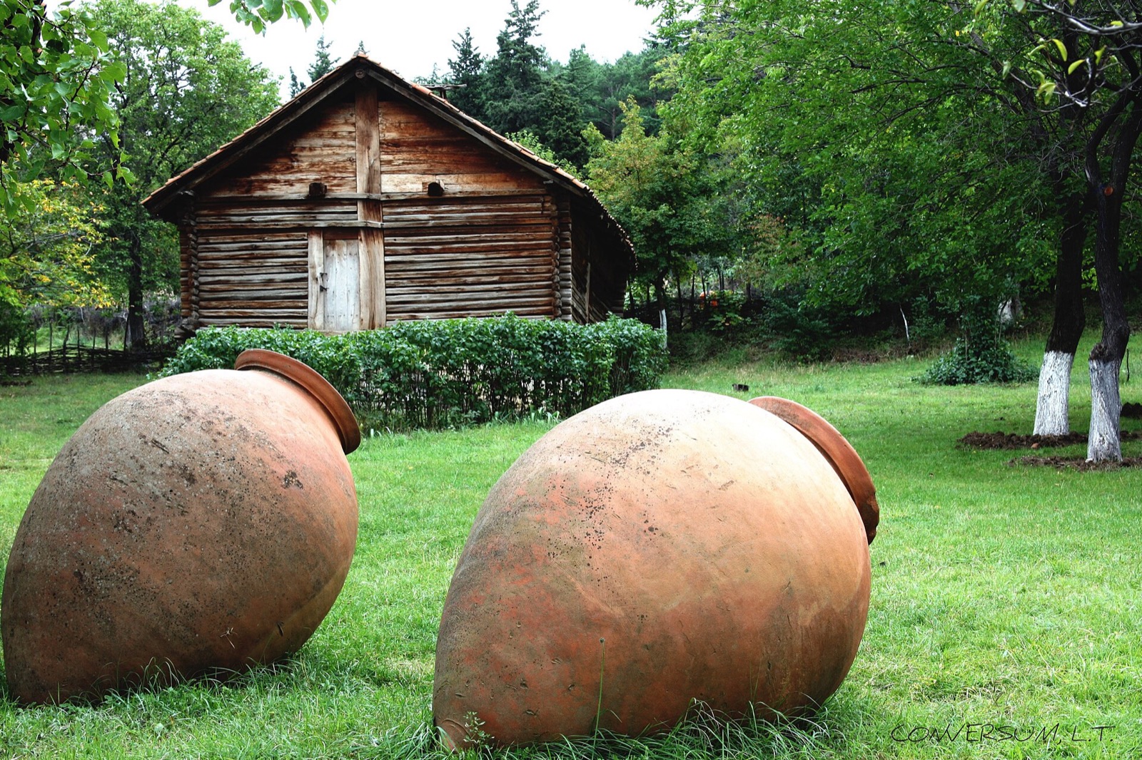 Two large terracotta qvevri wine vessels resting on grass beside a wooden Georgian house